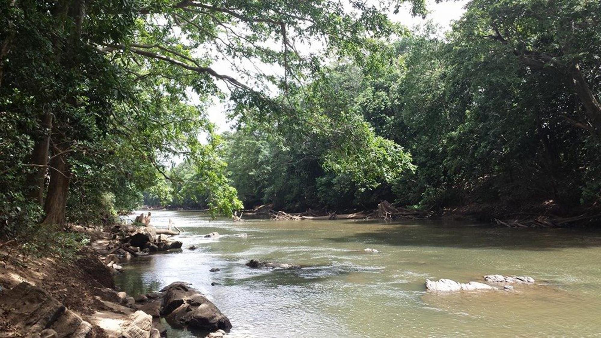 A4 Villas Udawalawe Luaran gambar